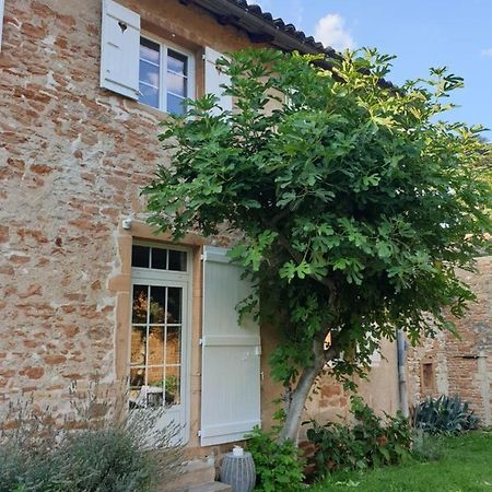 Le Gite Du Carge D'Arlay Charnay-lès-Mâcon Eksteriør billede