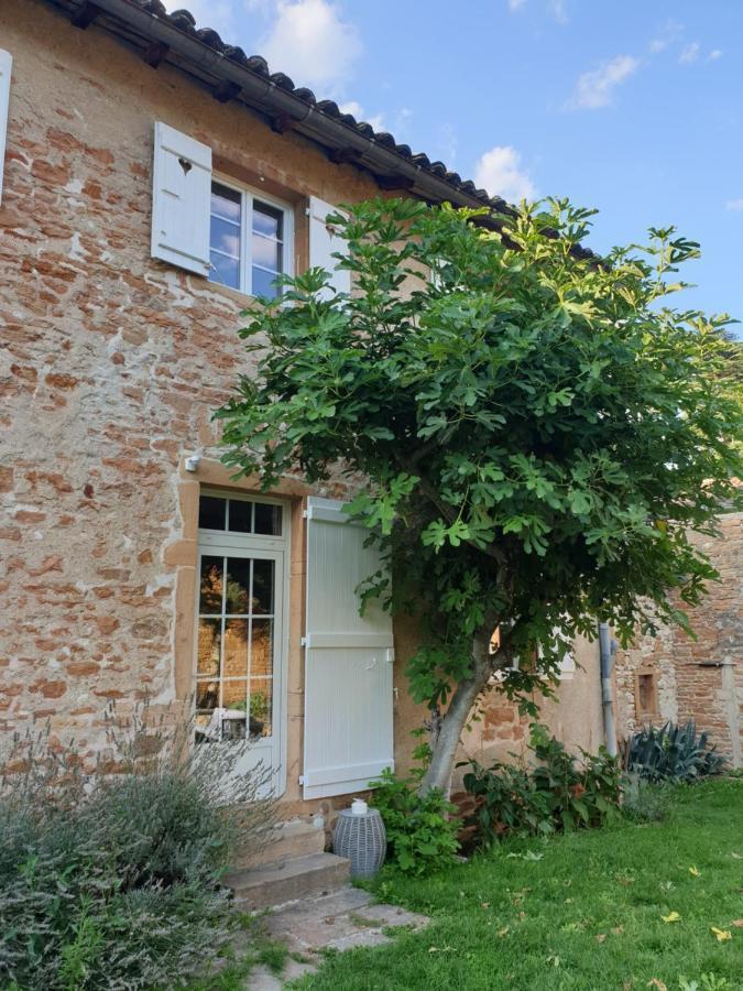 Le Gite Du Carge D'Arlay Charnay-lès-Mâcon Eksteriør billede